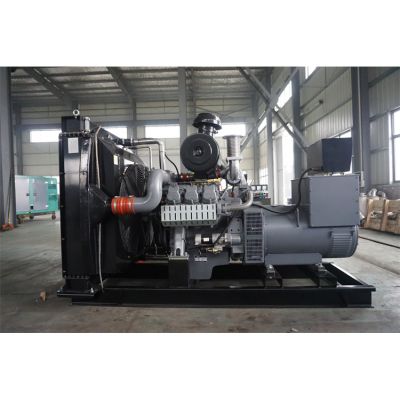 300kw威曼柴油發(fā)電機(jī)組-威曼6缸柴油機(jī)D11A柴油發(fā)電機(jī)組,缸徑/行程：128/142mm,柴油發(fā)電機(jī)組水冷發(fā)動機(jī)功率314KW,柴油發(fā)電機(jī)組配套馬拉松斯坦福發(fā)電機(jī)。廠價(jià)直銷歡迎選購：13773399855。